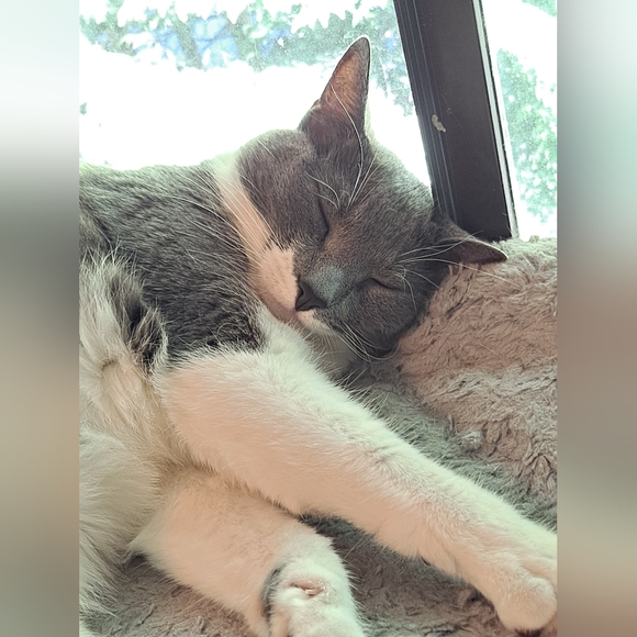 Meet Your Posher, Sheena : ) - Picture 8 of 8